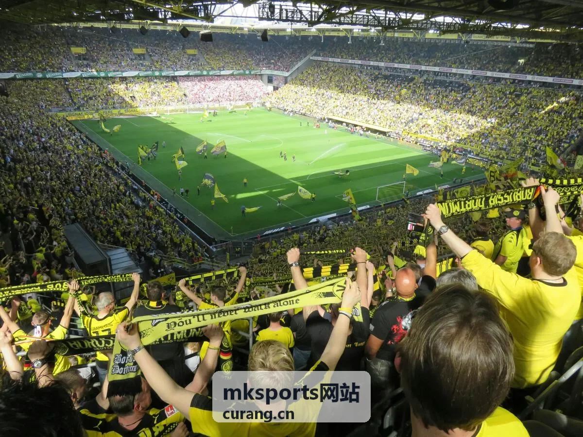 mksports网站新赛季前瞻专题封面
