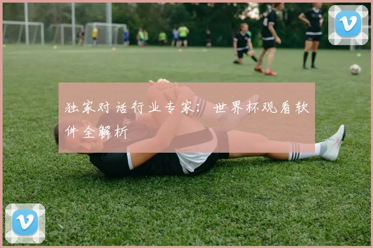 独家对话行业专家：世界杯观看软件全解析