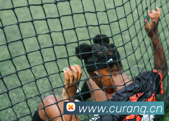 开云网页版在线登录appAPP 封面图